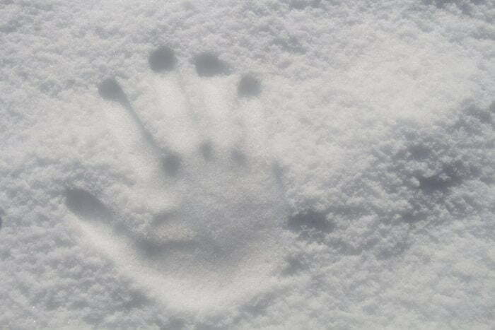 hand-print-on-snow-761268