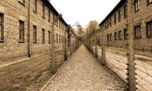 Captura de pantalla 2020-07-17 a las 13.22