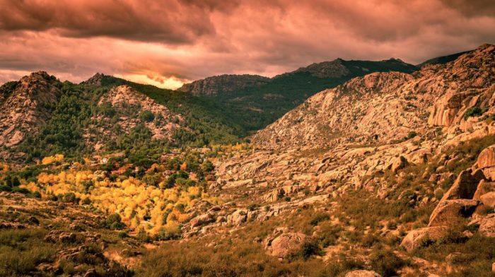 Captura de pantalla 2020-07-30 a las 17.09