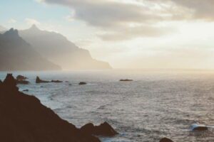 pexels-luis-quintero-1606618