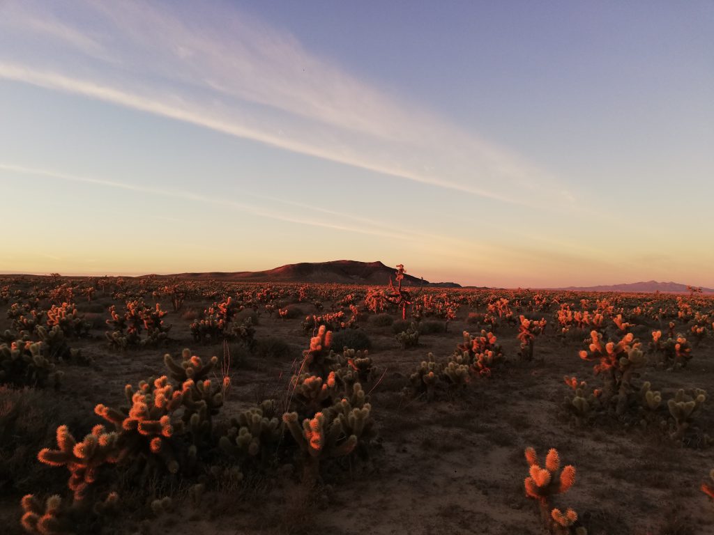 Gran Desierto de Altar