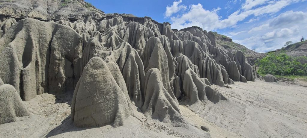 Valle de los Xilópalos