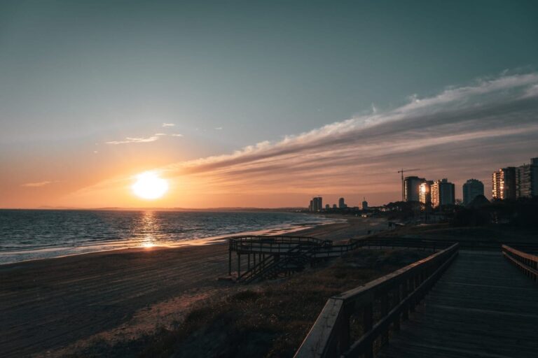 pexels-pedro-slinger-9381663-1