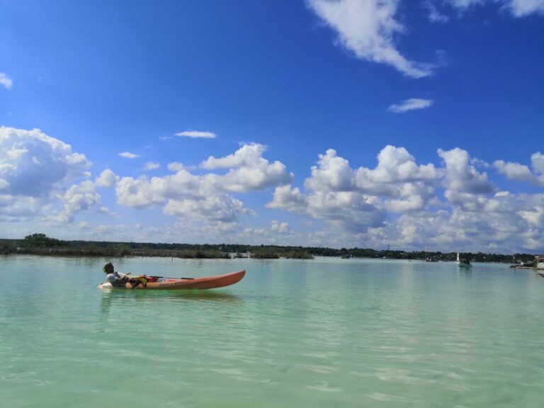 WhatsApp Image 2022-03-31 at 10.11