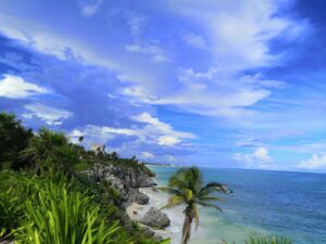 WhatsApp Image 2022-03-31 at 11.59