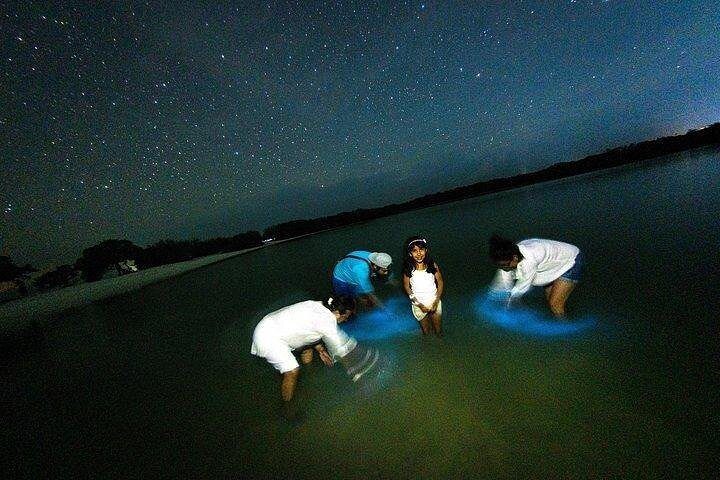 bioluminiscencia en Holbox