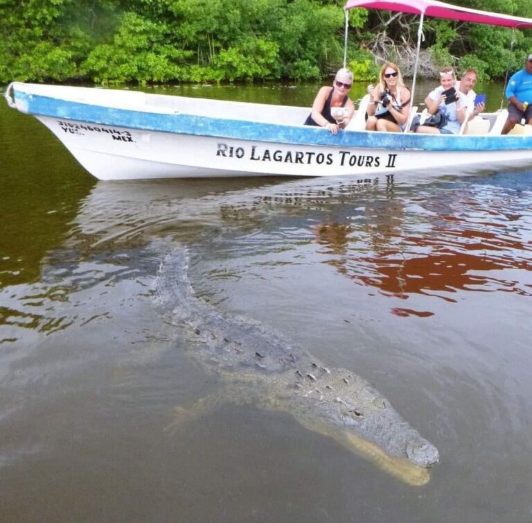 306123386_1708411929543764_985387311813408860_n