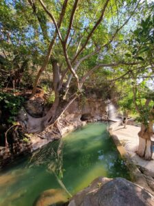 309059837_3262182207431054_21173564853098692_n