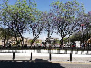 WhatsApp Image 2022-10-13 at 11.27