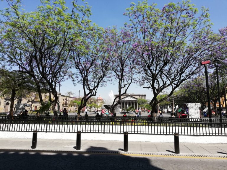 WhatsApp Image 2022-10-13 at 11.27