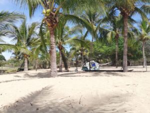 WhatsApp-Image-2022-10-13-at-2.07