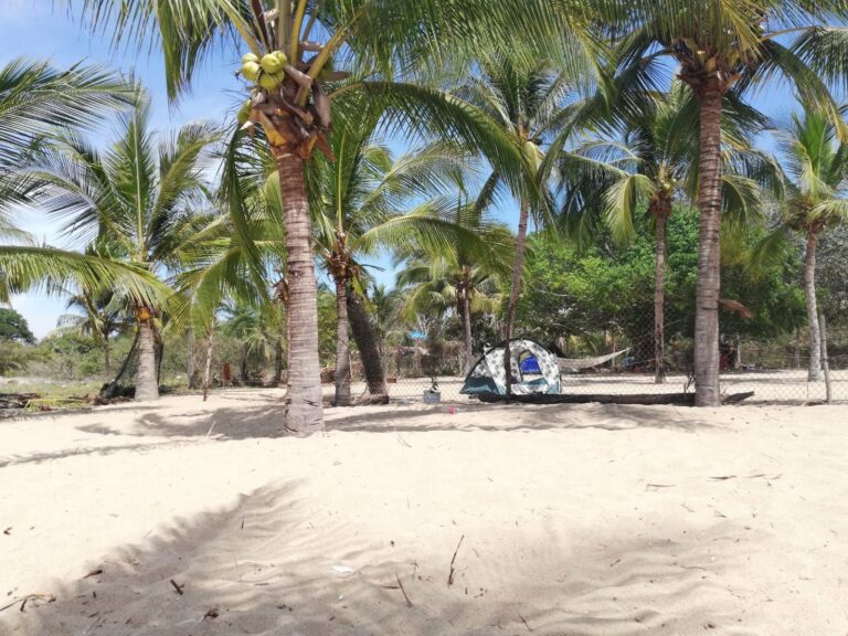 WhatsApp-Image-2022-10-13-at-2.07