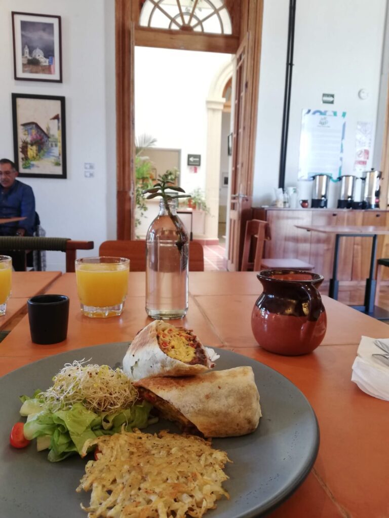 WhatsApp-Image-2022-10-28-at-7.11