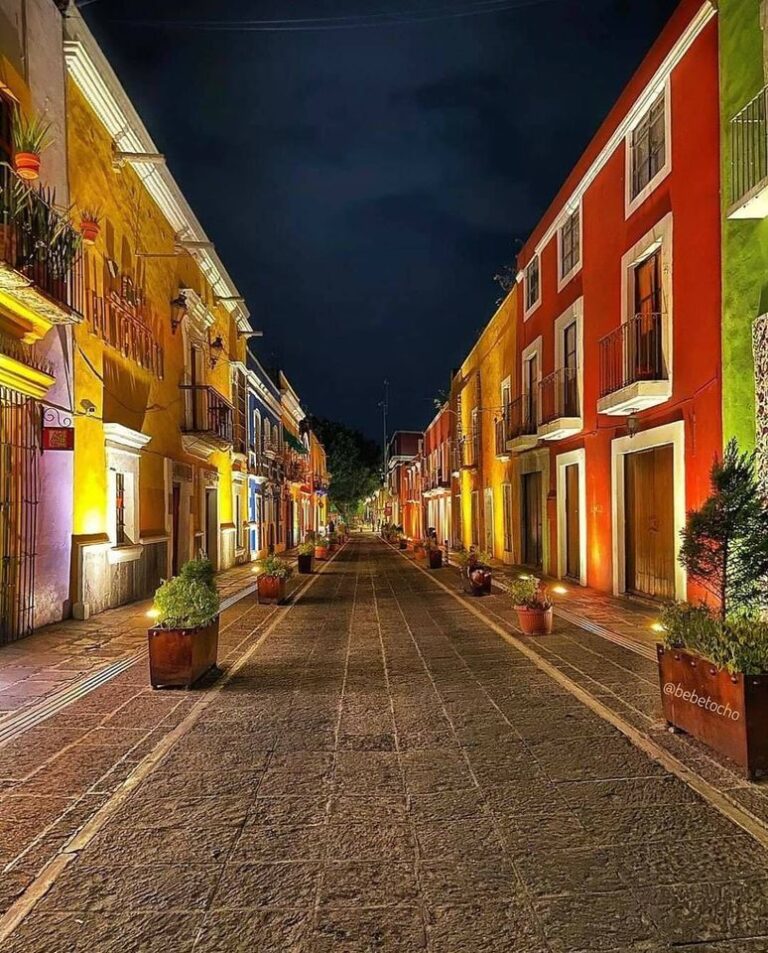 119705238_1462744927258303_195235881300353613_n