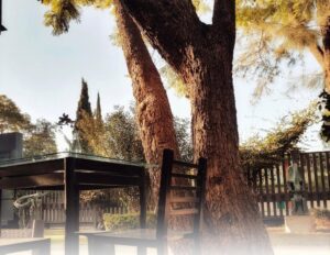 WhatsApp-Image-2022-12-29-at-2.27