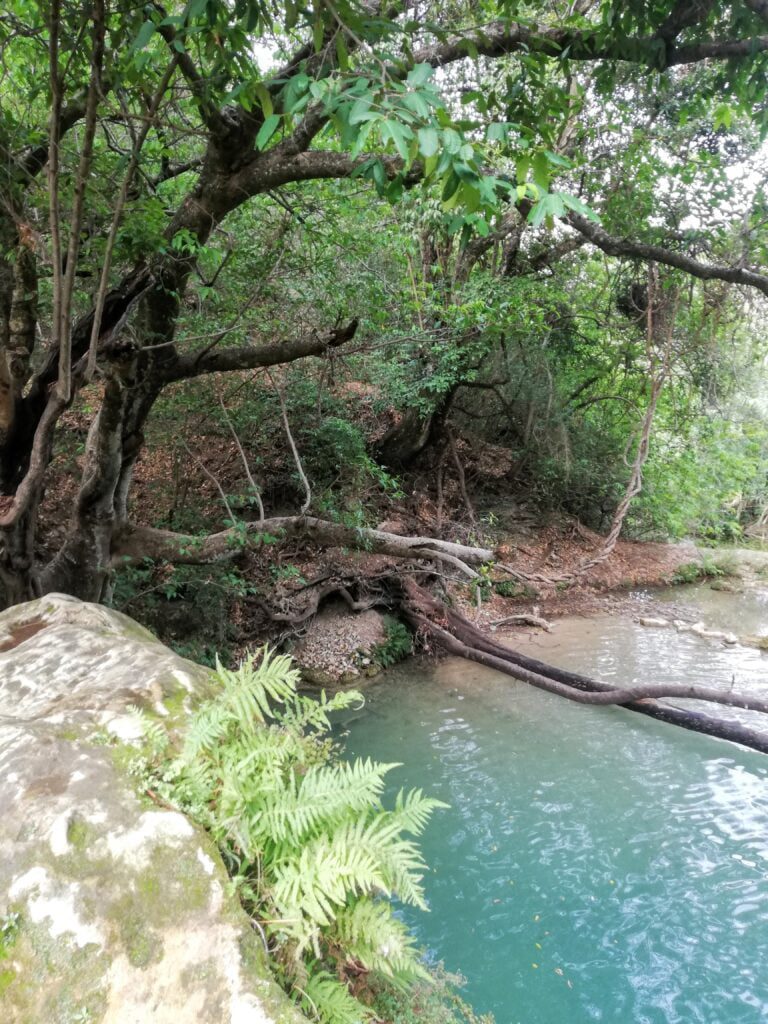 Aguas turquesa de Taxco
