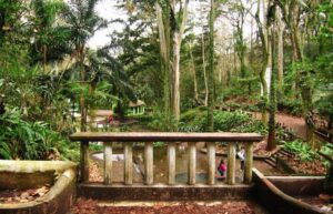 Parque los Tecajetes by Xalapa Veracruz