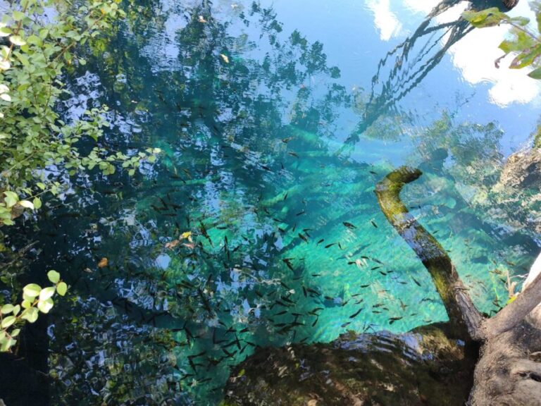 cenote xelactun cerca de sisal