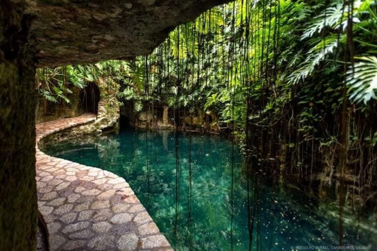 cenotes cerca de uxmal