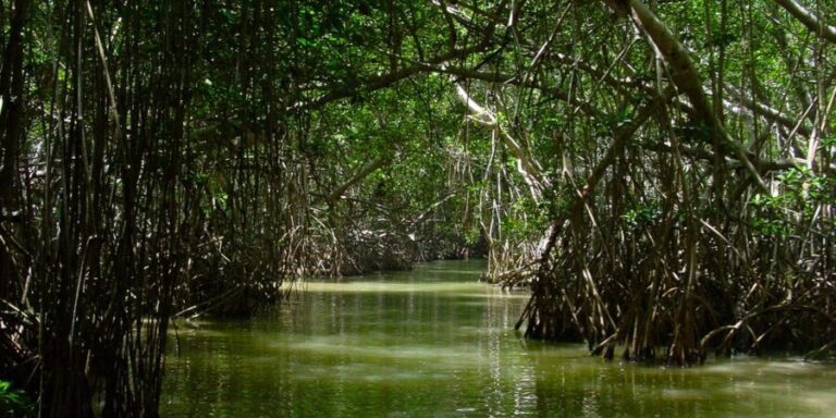 como-llegar-a-celestun-desde-merida