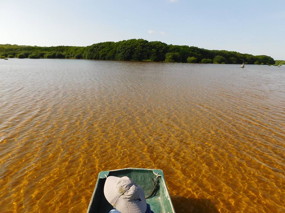 Ojo de Agua de Sisal