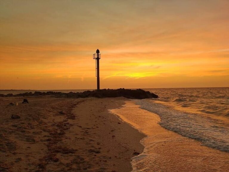 que hacer en sisal by MM