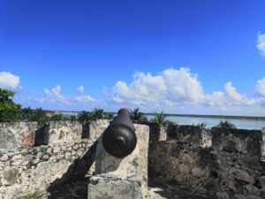 IMG 20211121 120619 1 1024x768 1